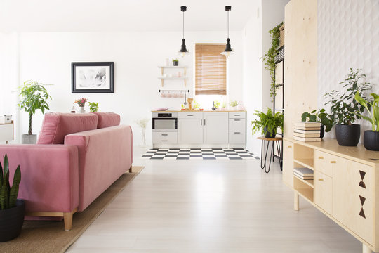 Real photo of bright living room interior with many fresh plants, wooden cupboard with books, pink lounge and kichenette