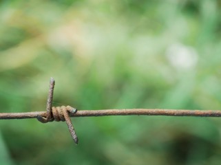 Polonne / Ukraine - 12 August 2018: Rusty barbed wire