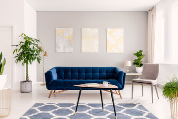 Real photo of plants, dark blue sofa and posters on the wall in a modern living room interior