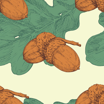 Acorn and oak leaf. Vector seamless pattern. Hand drawn illustration. Color illustration