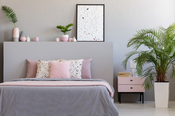 Plant and cabinet next to bed with pillows in grey and pink bedroom interior with poster. Real photo