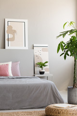 Palm and pouf next to bed in minimal grey and pink bedroom interior with poster. Real photo