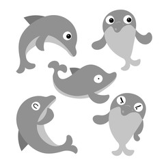 dolphin vector collection design