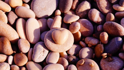 corazón al sol