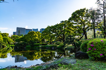 Fototapeta na wymiar a park in tokyo