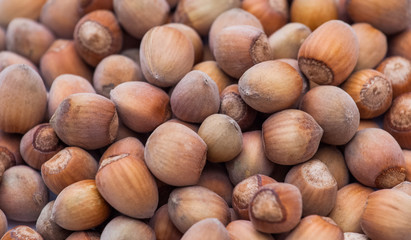 Background of unpeeled hazelnuts close-up