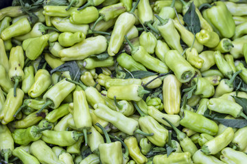 Close-up shot for multiple green colored peppers on plastic box