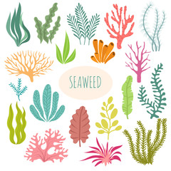 Seaweeds. Aquarium plants, underwater planting. Vector seaweed silhouette isolated set - obrazy, fototapety, plakaty