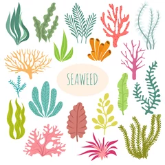 Foto op Canvas Seaweeds. Aquarium plants, underwater planting. Vector seaweed silhouette isolated set © MicroOne