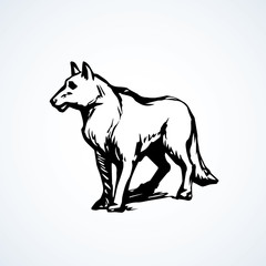 Wolf. Vector drawing