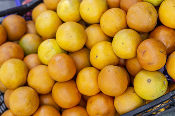 Close-up shot for multiple orange colored oranges on plastic box