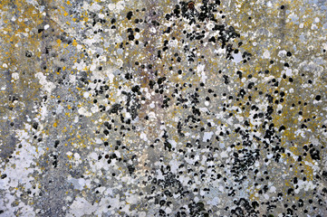 Stone surface covered with moss. Natural  stone texture
