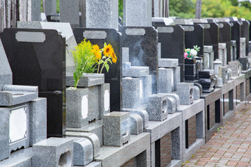 霊園の墓石と花