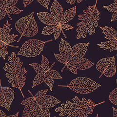 Vector autumn seamless pattern with oak, poplar, beech, maple, aspen and horse chestnut leaves outline on the dark background. Fall gradient line art of foliage. - 217719489