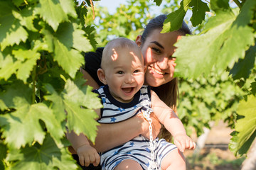 a young mother with a toddler in a vineyard in the summer