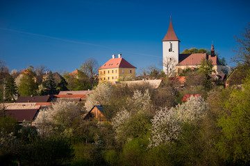 Naklejka premium Spring rural landscape, blossom cherry trees in garden, blue sky, church in background