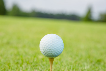 新緑のゴルフ場