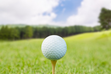 新緑のゴルフ場