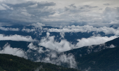 Carpathian forest and Mountains in clouds