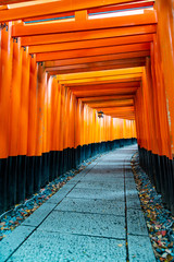 fushimi inari