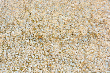 Old cement with a matte gray glass crumb under the sun