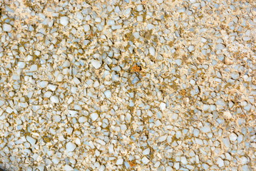Old cement with a matte gray glass crumb under the sun