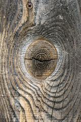 Fototapeta premium Close up of grey wooden planks with crackes and natural wooden pattern rings. Abstract texture background