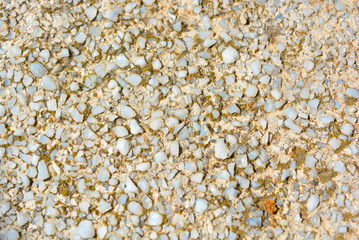 Old cement with a matte gray glass crumb under the sun