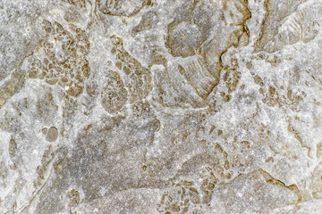 Rough gray with gold flecks crystal textured rock background