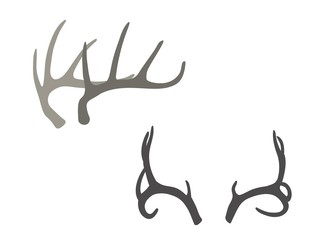 Deer antlers. Hand drawn vector illustration, design elements