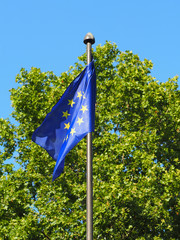 European flag on flagpole against the green tree and clear blue sky