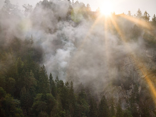 Waldbrand in den Bergen 