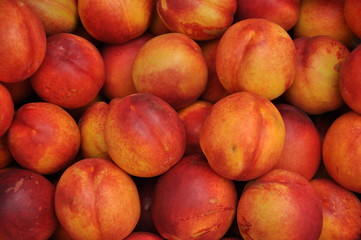 Fototapeta na wymiar juicy ripe peaches. background