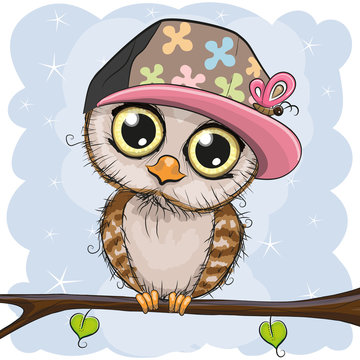Cute owl in a cap is sitting on a branch