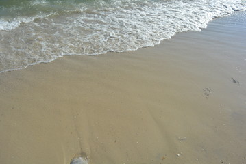 Beautiful clean wet sand with a sea-sized large stone, gentle waves and sea foam on the Black Sea coast