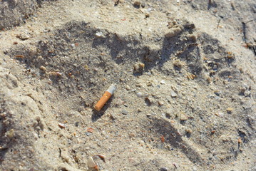 Abandoned used cigarette butt from the cigar to the yellow sand of the Black Sea beach