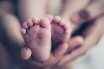 Fototapeta Feet of a newborn baby in the hands of parents. Happy Family oncept. Mum and Dad hug their baby's legs. obraz