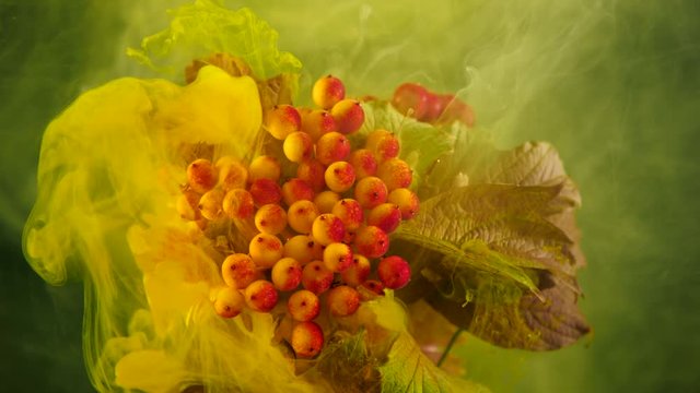 Amazing spreading of paint on beautiful autumn bouquet.