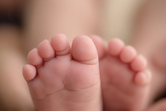 Feet of a newborn baby in the hands of parents. Happy Family oncept. Mum and Dad hug their baby's legs.