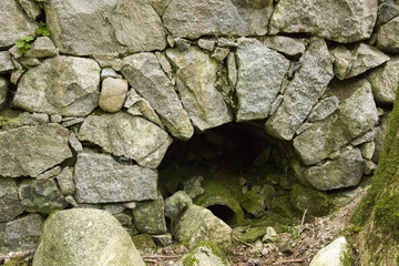 Old vaulted wall in forest, in Vosges France