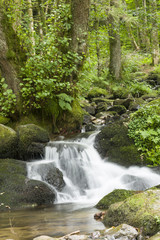 Saint Nicolas Waterfall in Vosges France