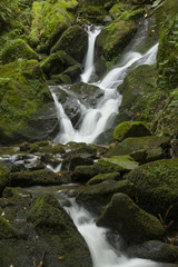 Naklejka premium Saint Nicolas Waterfall in Vosges France
