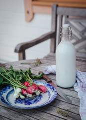 Radish and green onions with a bottle of fermented milk on a wooden table in the garden