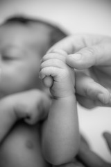 Newborn baby holding finger of mother / father. Happy Family and Baby protection concept. Mom and...