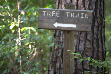 Tree Trail sign