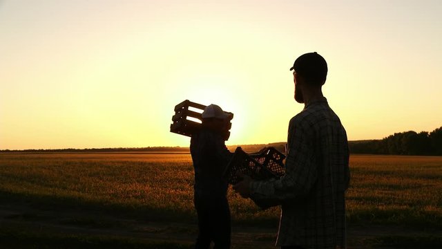Two farmers together carry a corn crop in a wooden box at sunset.