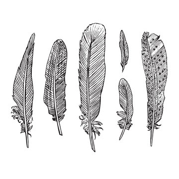 Feathers collection, hand drawn doodle sketch, isolated vector outline illustration