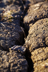 Cracked dry earth.