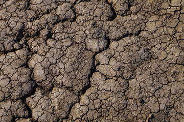 Cracked dry earth.