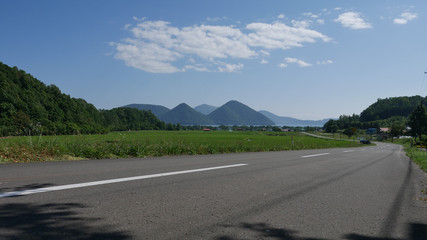 水田と湖に続く道